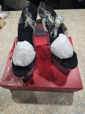 Pleaser Clear Platform Heels in Black